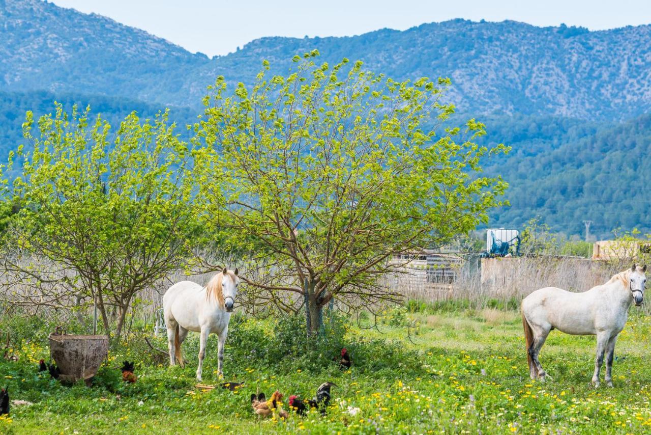 Traumhafte Finca Son Senyor - Mit Pferdekoppel Villa Sa Pobla Eksteriør bilde